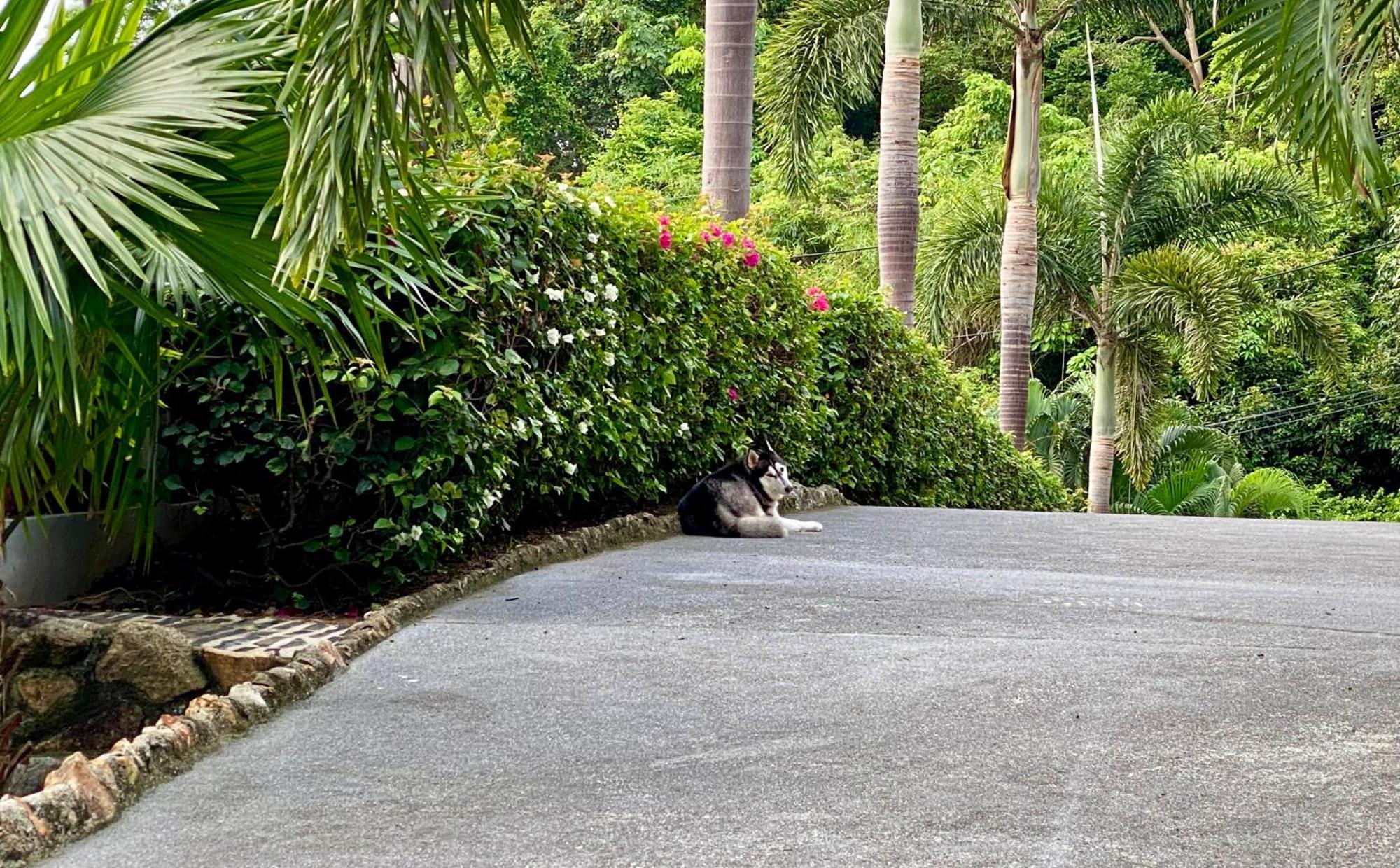 Ko Samui Seaview Pool Villa Seren With Car Laem Set Beach 외부 사진